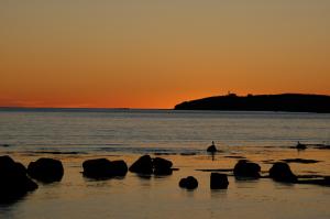 Sunset & beach smaller.jpg